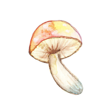 recommend clip art: Beautiful bright watercolor mushroom fly agaric drawn isolated. Large mushroom with red cap and white spots for cartoon posters. Poisonous fairy mushroom.