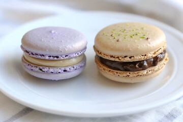 Fototapeta premium close-up shot of two delicate macarons on a white plate,