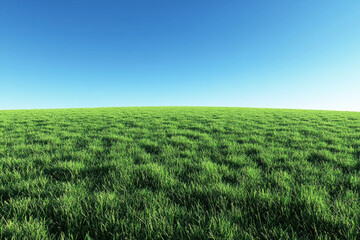 Obraz premium Green field under clear blue sky, a lone oak tree in the center, casting a long shadow. Serene and vast landscape.