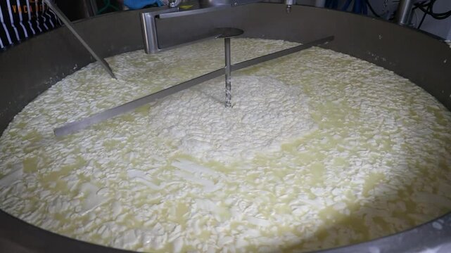 Slow-motion of the process of separating curds from whey during making cheese in a cheese factory