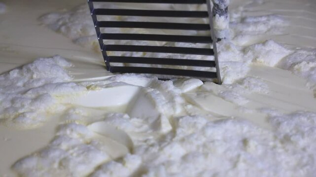 Closeup, slow-motion of the process of separating whey from curds during making cheese
