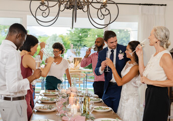 Toasting with champagne, diverse guests celebrating wedding around elegant dinner table