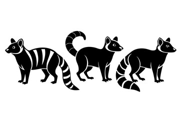 Banded palm civet icon set silhouette vector bundle