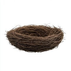 Obraz premium bird nest isolated on white