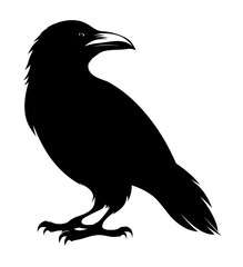 Silhouette of a black raven. The bird is a symbol of wisdom and dark worlds. Isolated illustration of a crow.
