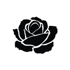 red cabbage isolated on white