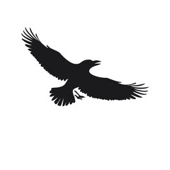 eagle in flight