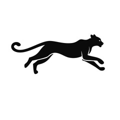 Fototapeta premium silhouette of a lion