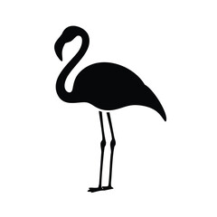 flamingo vector illustration