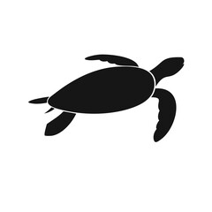 vector illustration of a turtle