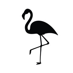 flamingo silhouette isolated on white