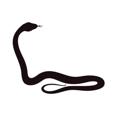 snake on white