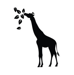 giraffe vector illustration
