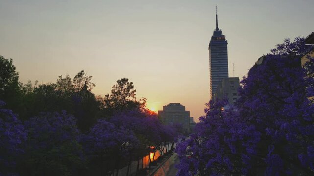 Centro hist&oacute;rico de la ciudad de M&eacute;xico, jacarandas de color morado en primavera, turismo en CDMX