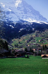House on Grassland with Swiss Alps Mountain View around Interlaken Switzerland during 2000s