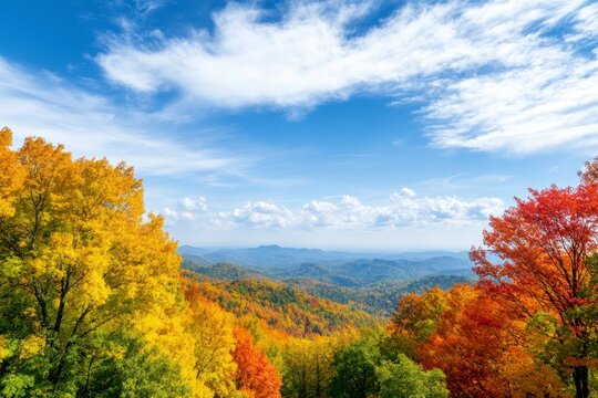 Autumn landscape, vibrant yellow and red trees atop a hill overlooking a hazy city under a partly cloudy sky