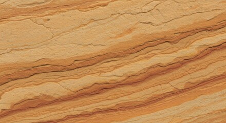 Naklejka premium Wooden Plank with Natural Stone Texture