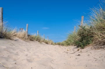 Path through the dunes with fence and beach grass on the North Sea coast
