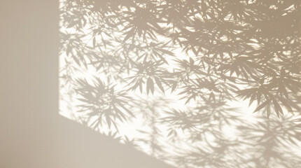 Minimalist Scene with Dappled Sunlight and Palm Leaves Casting Shadows