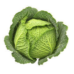 Obraz premium Fresh green cabbage with intricate leaf patterns and vibrant color