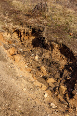 Vertical view of sandy soil erosion on a slope