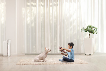 Boy playing with a dinosaur toy