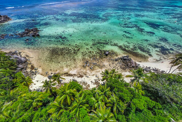 Obraz premium Aerial view of a tropical beach with palms, coral reef and turquoise sea.