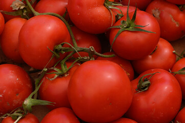 Freshly harvested red tomatoes piled together at a local market showcasing nature's vibrant bounty during a sunny afternoon