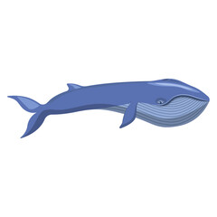 A blue whale isolated on a white background.Vector illustration of a marine animal.
