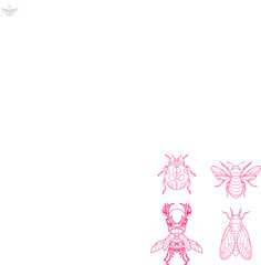 Colorful set of various insect in silhouette, with insect name. easy to modify eps