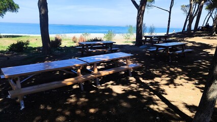 Outdoor picnic area with tables under trees near a calm beach
