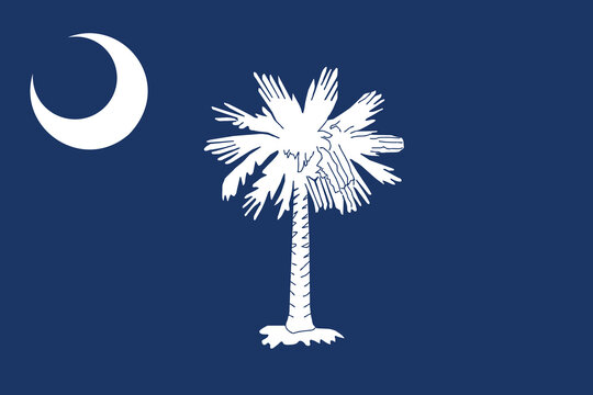 South Carolina Flag Vector Clipart Illustration, State Symbol, Palmetto Tree and Crescent, Digital Art, American Heritage, South Carolina Design, Historical Flag, Patriotic Emblem, State Pride, USA