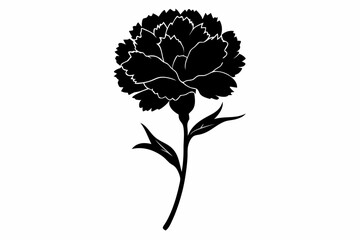the carnation icon set silhouette vector bundle