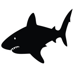 shark vector illustration