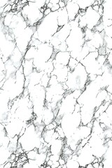 Elegant white marble background with delicate black veining patterns, seamless