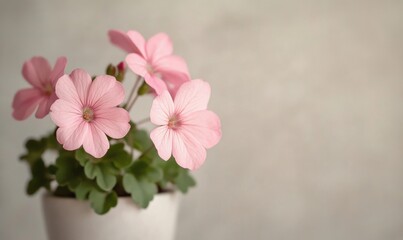 Fototapeta premium A white vase with pink flowers in it