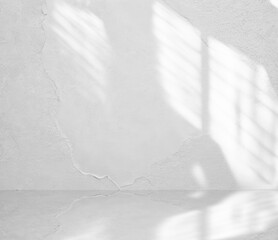 Minimalist abstract background for product display and abstract shadow