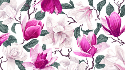 Floral background with pink and white magnolias. Spring blooming branches on white background. Completely hand drawn botanical illustrations. Background for computer, banner social networks