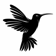 Hummingbird silhouette vector of a tiny bird hovering in flight isolated on a white background