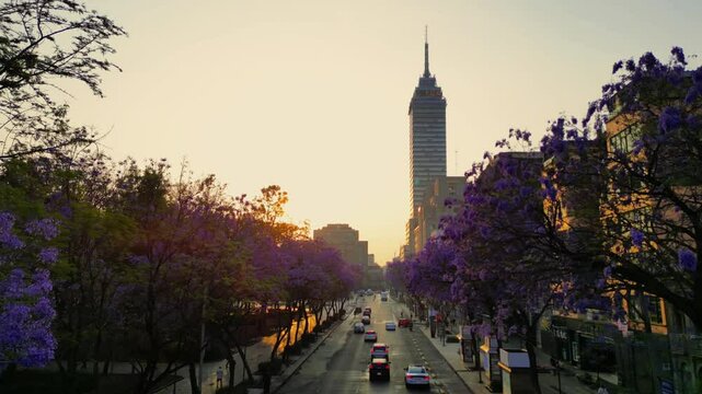 Centro hist&oacute;rico de la Ciudad de M&eacute;xico, amanecer en primavera con jacarandas