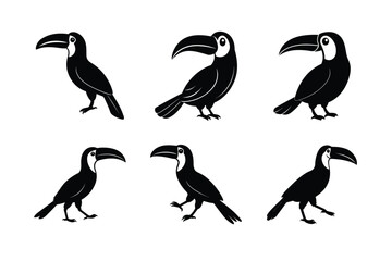 Fototapeta premium Toucan silhouette vector Bundle illustration