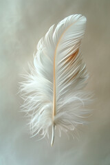 A Single Delicate Feather, Floating in Mid-Air Against a Soft Neutral Background