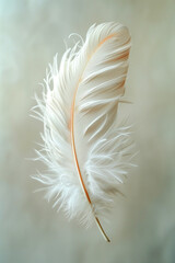 A Single Delicate Feather, Floating in Mid-Air Against a Soft Neutral Background