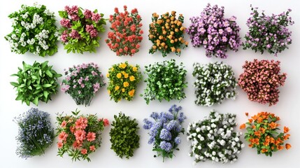 3d model of different types of flowers and shrubs, white background, different types of bushes, flowers and trees in the realistic style.