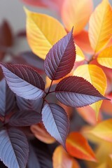 Fototapeta premium Captivating close up of vibrant autumn leaves displaying a rich palette of burgundy gold and orange hues in soft light