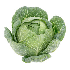 Fresh Green Cabbage Vegetable. (1)