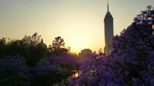 Centro hist&oacute;rico de la Ciudad de M&eacute;xico, amanecer en primavera con jacarandas