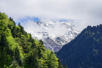 Naklejka premium Image of green forests and snow-capped mountains.