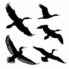 cormorant icon set black silhouette vector bundle