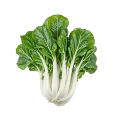 Fresh bok choy with crisp white stems and vibrant green leaves Perfect for healthy eating and food concepts